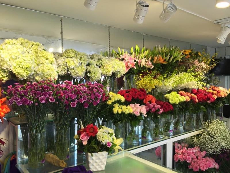 Top 10 shop hoa tươi ở Huế được yêu thích nhất - Topvietnam.com.vn
