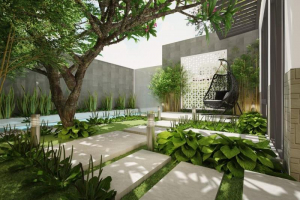 Top 5 Địa chỉ bán cây xanh trang trí tạo không gian xanh tại Đà Nẵng