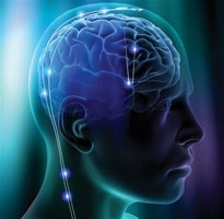 Top 6 điều thú vị về bộ não có thể bạn chưa biết