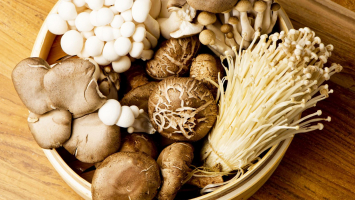 Top 7 món ăn ngon từ nấm và cách làm đơn giản tại nhà