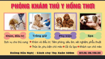 Top 5  địa chỉ chăm sóc sức khỏe cho thú cưng tại Quảng Ninh